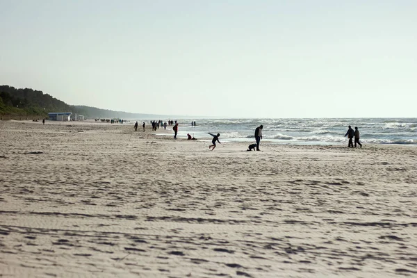 Grupo Pessoas Numa Praia Foto Alta Qualidade — Fotografia de Stock