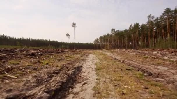 Caminhando em uma estrada arenosa no campo após o desmatamento na floresta — Vídeo de Stock