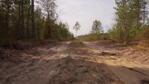 Βόλτα σε ένα αμμώδη δρόμο σε ένα δάσος άνοιξη — Αρχείο Βίντεο
