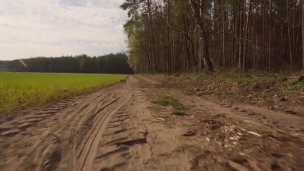 Caminar por el camino arenoso entre los campos en el pueblo — Vídeo de stock