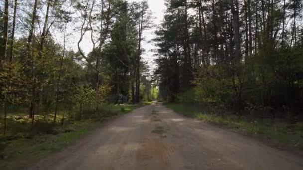 Caminhar em uma estrada arenosa em uma floresta de primavera — Vídeo de Stock