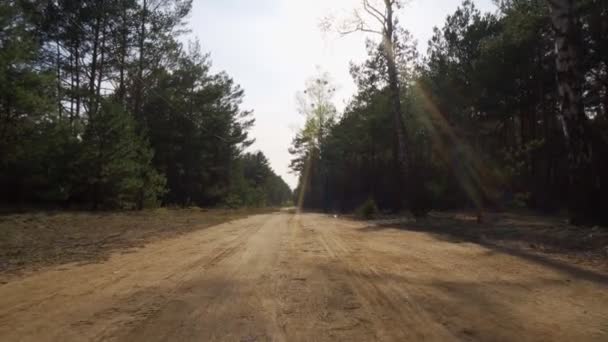 Прогулянка піщаною дорогою в весняному лісі — стокове відео