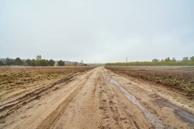 Baharda tarlalar arasındaki kumlu kır yolu