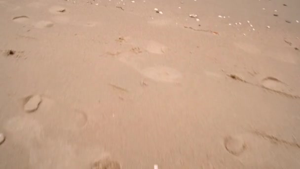 Vue sur la plage de sable et les douces vagues de mer — Video