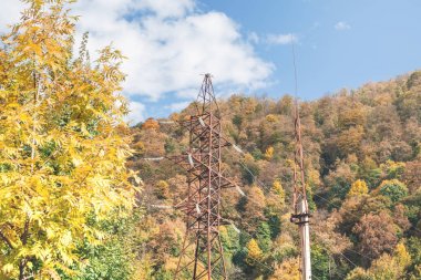 Elektrik İletim ormanda.