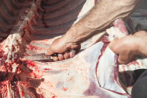 Procesando carne fresca. Carnicero con un cuchillo en la mano que separa m — Foto de Stock