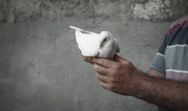 Кавказский человек, держащий голубя под рукой
.