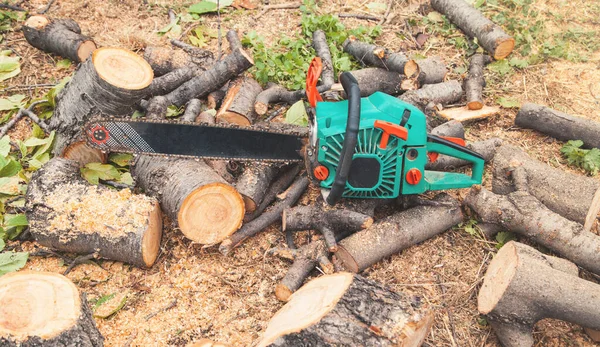 Sierra Cadena Troncos Cortados Bosque Corte Árboles — Foto de Stock