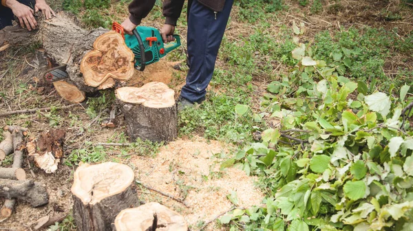 Hombre Cortando Madera Con Una Motosierra — Foto de Stock