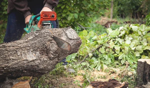 Hombre Cortando Madera Con Una Motosierra — Foto de Stock