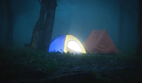 夜の森の中のテントキャンプ — ストック写真