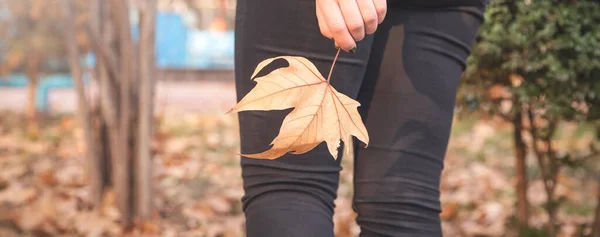 Frau Hält Blatt Herbstpark — Stockfoto