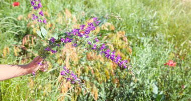 El ele tutuşmuş küçük mavi çiçekler.. 