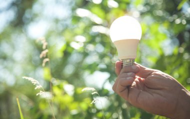 Doğada el ele tutuşan ampul. Yeşil enerji