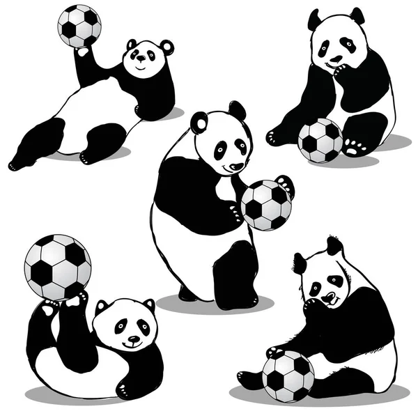 Panda futbol topu tutuyor