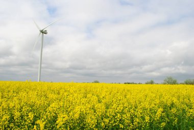 sahada yel değirmenleri