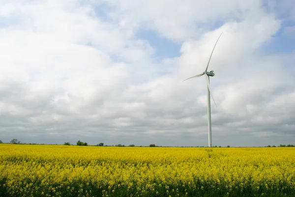 sahada yel değirmenleri