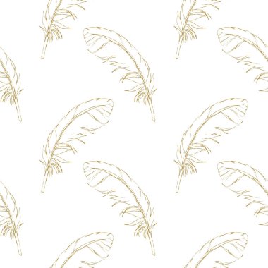 Dikişsiz desen kahverengi tüyleri beyaz zemin üzerine çizilmiş. Vektör