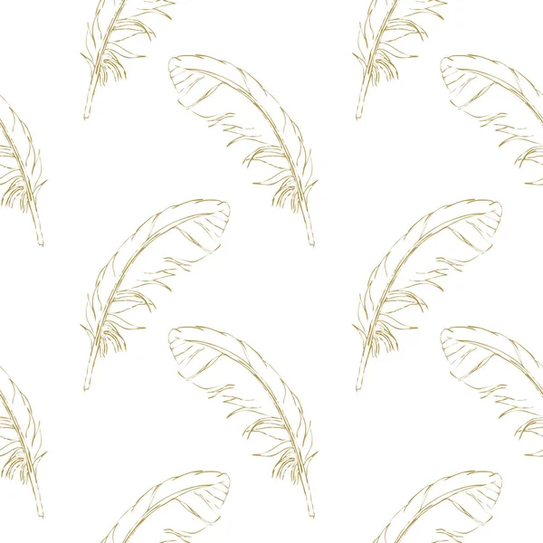 Nahtlose Muster braune, handgezeichnete Federn auf weißem Hintergrund. Vektor — Stockvektor