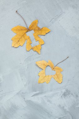 Ben aşk akçaağaç yaprakları beton zemin üzerinde yazı