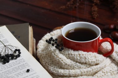 Kitap, sıcak çay ve örme atkı