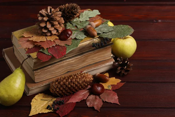 Autumn comncept with books, cones, acorns, chestnuts and dried h — Stock Photo, Image