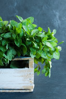 Gri bir arka plan üzerine nane ile ahşap kutu