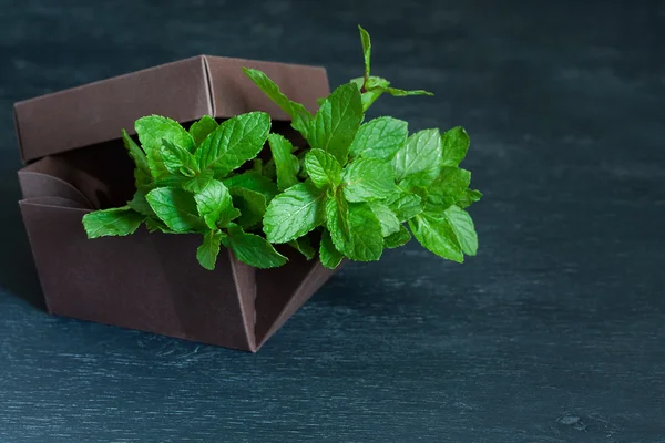 Brown box with mint on a black background
