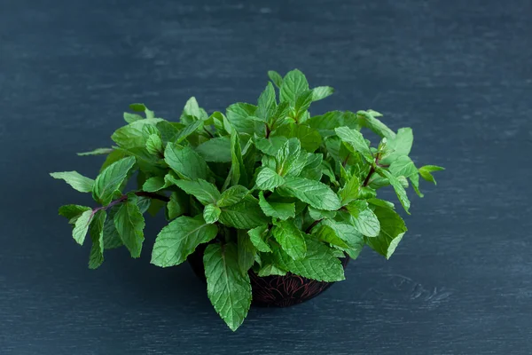 Nane yaprakları ahşap Kupası 