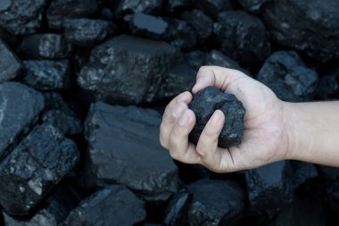 Güneşli kömür taş parçası tutan kömür madenciliği el
