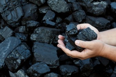 Coal mining hands holding sunlit coal stone part clipart