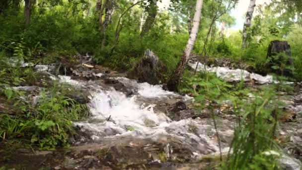 Красивый горный водопад — стоковое видео
