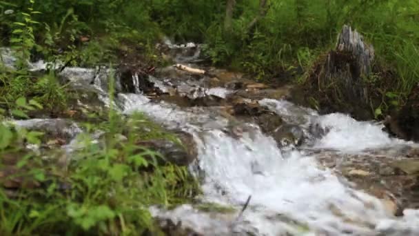 Beautiful Mountain waterfall — Stock Video