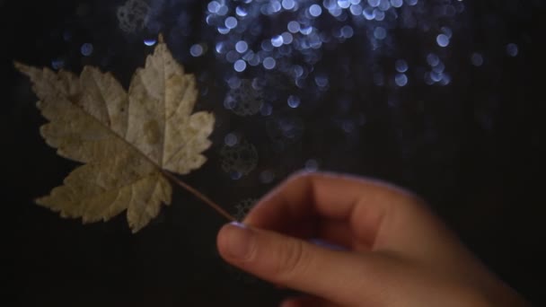 Mão segurando folha de outono — Vídeo de Stock