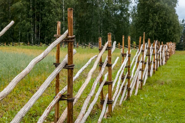 Old wooden russian north fence near barley field