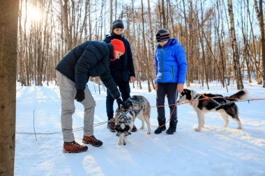 Çocuk kızak huskies öğretim üyesinin gözetiminde ile donatmak.