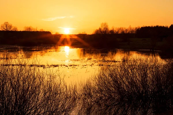 Göl kenarında güzel gün batımı.