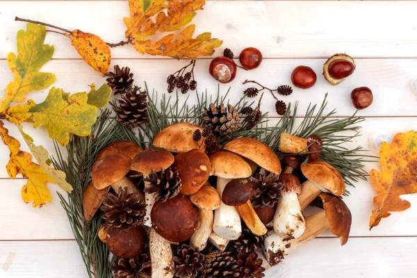 ahşap masa üzerinde taze çörek mantar. 