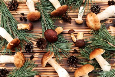 Boletus mantar ahşap tablo. 