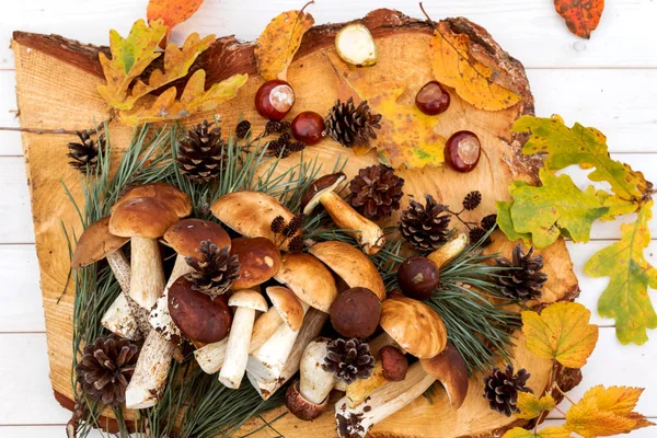 ahşap masa üzerinde taze çörek mantar. 