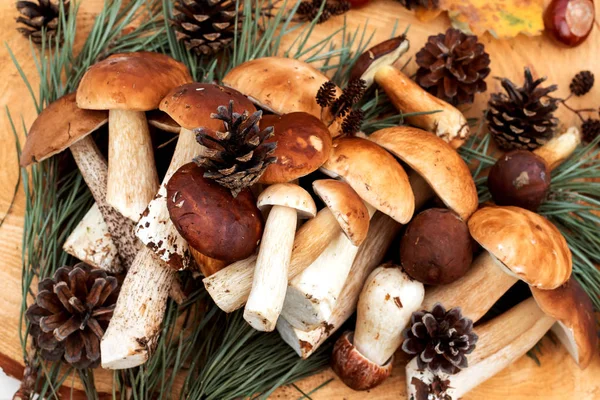 ahşap masa üzerinde taze çörek mantar.