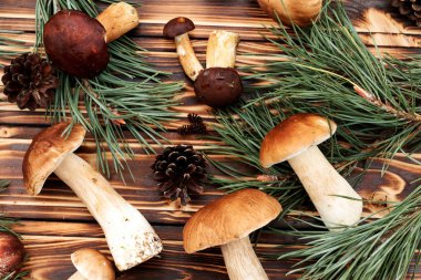 ahşap masa üzerinde taze çörek mantar. 