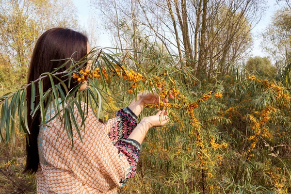 çilek toplama kadın.