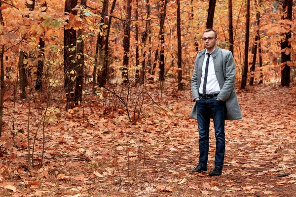 Sonbahar ormandaki gri paltolu modern yakışıklı çekici insan. Moda ve giyim kavramı. Metin için özgür yer.