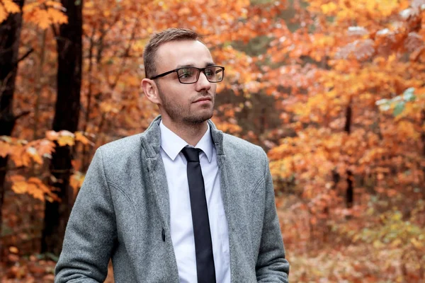 Modern yakışıklı çekici insan sonbahar ormandaki gri paltolu.