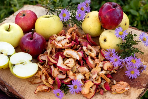 Dried apples and fresh ripe apples. Autumn still life.