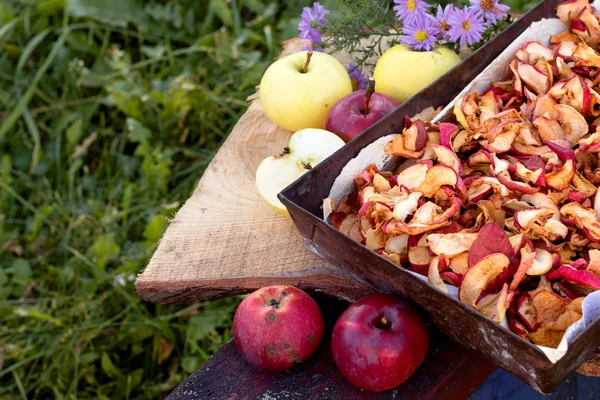 Dried apples and fresh ripe apples. Free place for text.