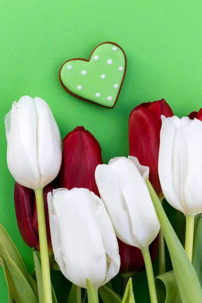Red and white tulips on green background, concept of love, attention, care.