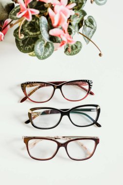 Şık kadın gözlükleri ve aksesuarları. Optik mağazası, göz sağlığı hizmetleri.