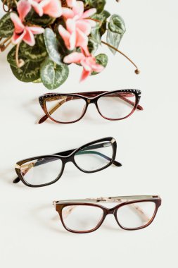 Şık kadın gözlükleri ve aksesuarları. Optik mağazası, göz sağlığı hizmetleri.